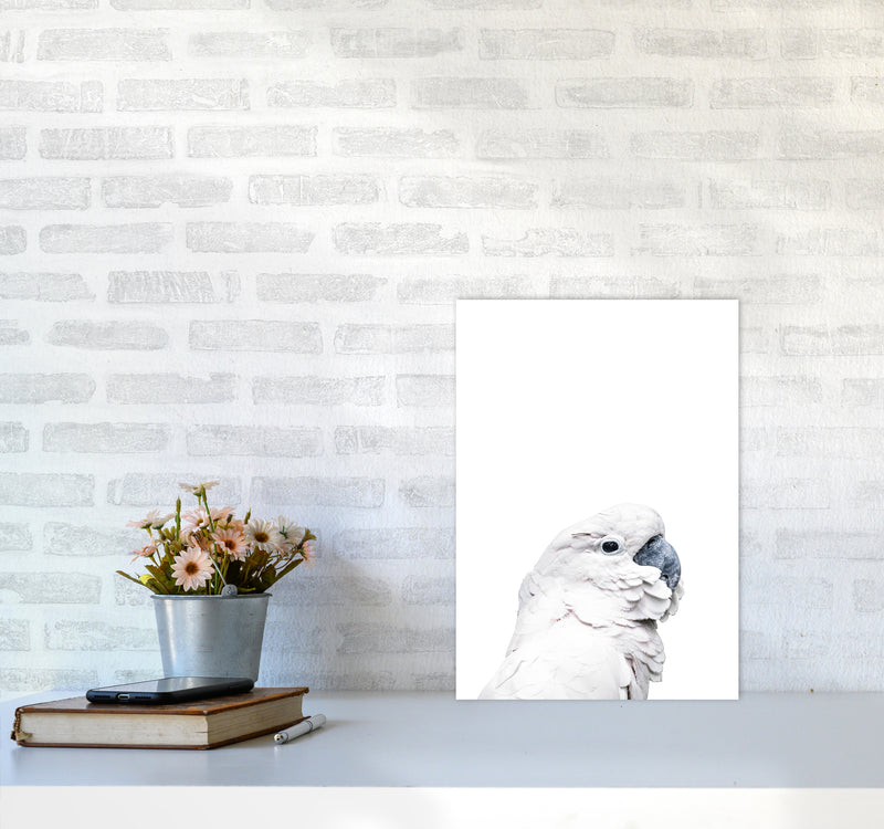 White Cockatoo Photography Print by Victoria Frost A3 Black Frame