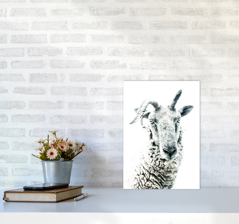 Sheep Photography Print by Victoria Frost A3 Black Frame