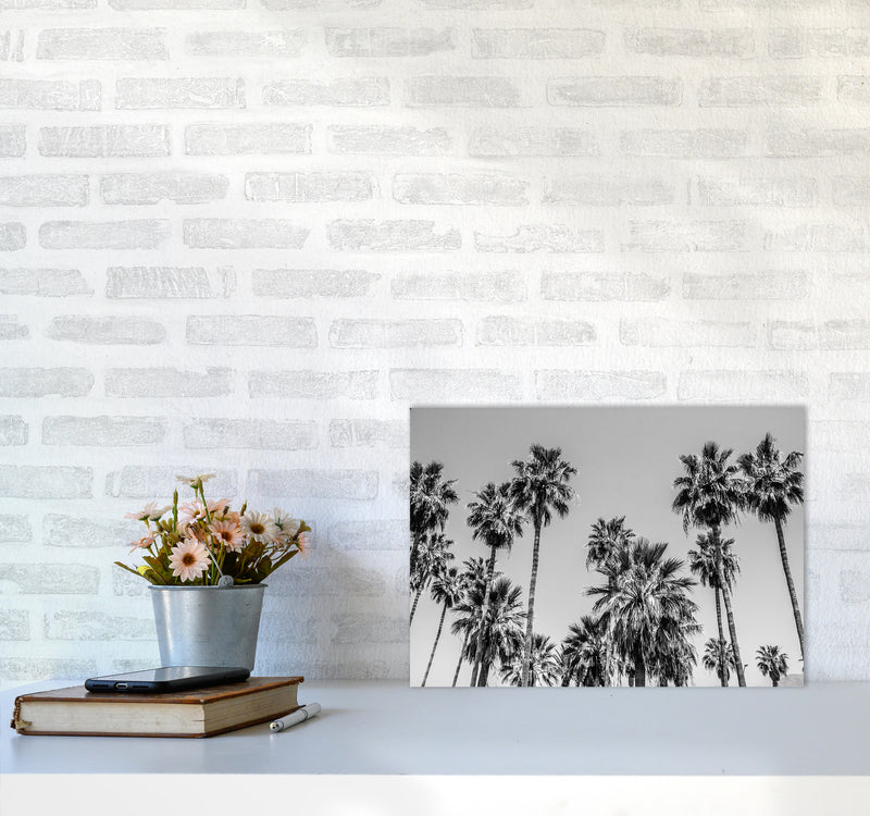 Sabal palmetto I Palm Trees Photography Print by Victoria Frost A3 Black Frame