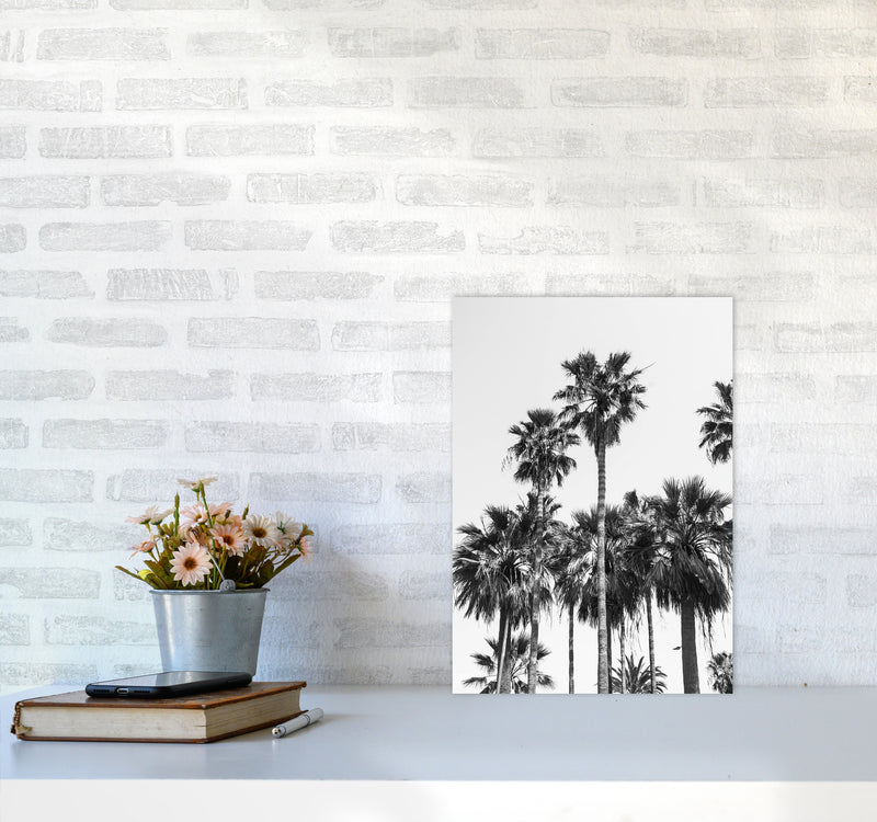 Sabal palmetto II Palm trees Photography Print by Victoria Frost A3 Black Frame