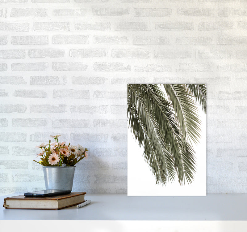 Palms Photography Print by Victoria Frost A3 Black Frame