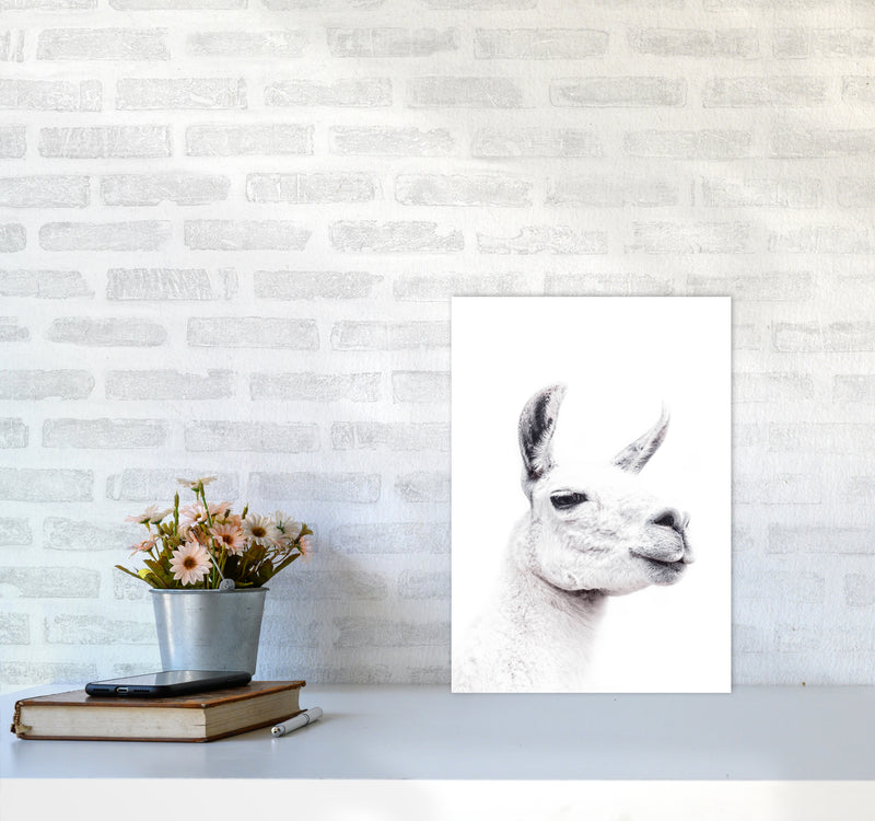 Llama I Photography Print by Victoria Frost A3 Black Frame