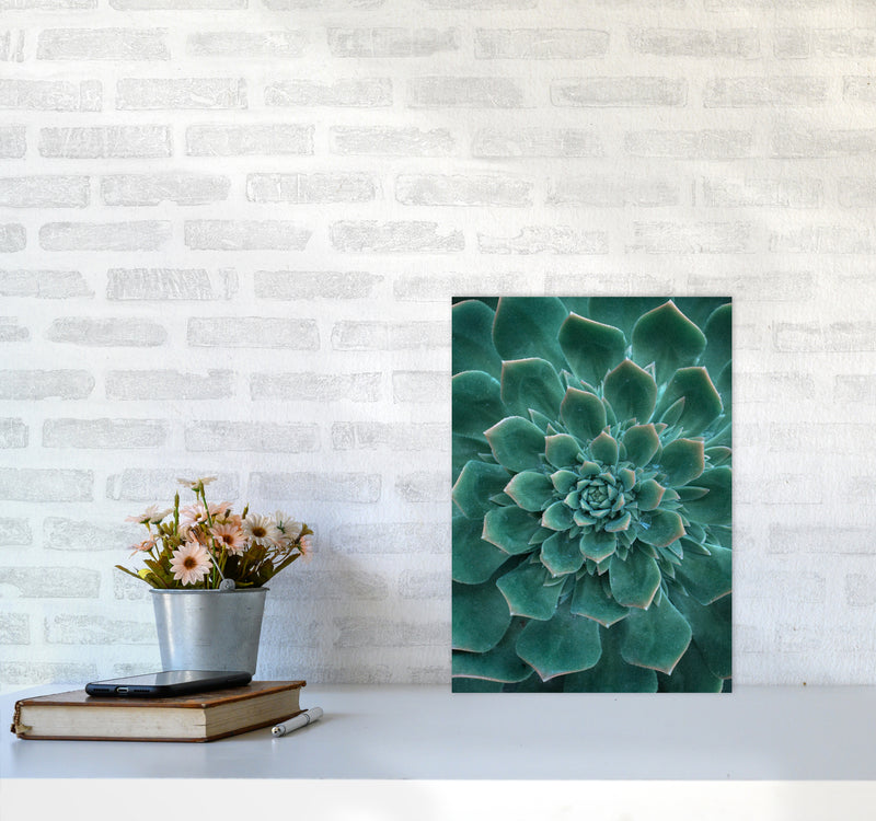 Green Succulent Plant Photography Print by Victoria Frost A3 Black Frame