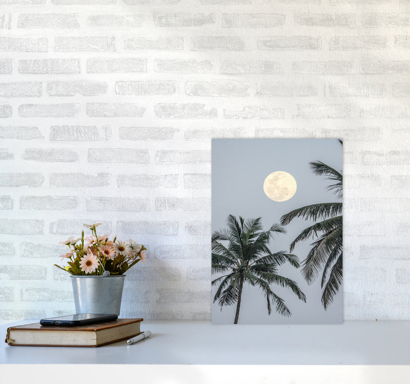 Full Moon Photography Print by Victoria Frost A3 Black Frame