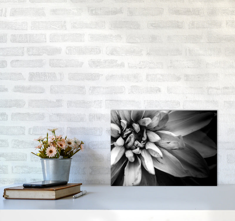 Flower Petals I  Photography Print by Victoria Frost A3 Black Frame