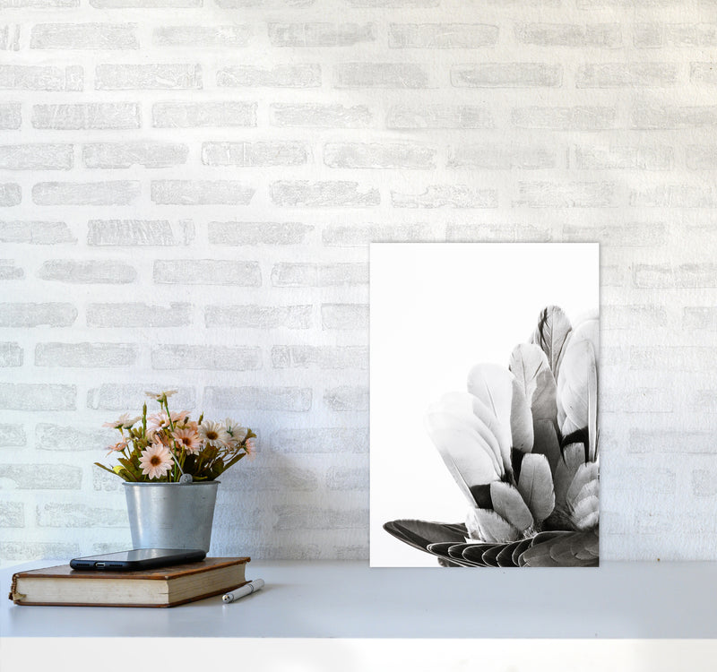 Feathers Photography Print by Victoria Frost A3 Black Frame