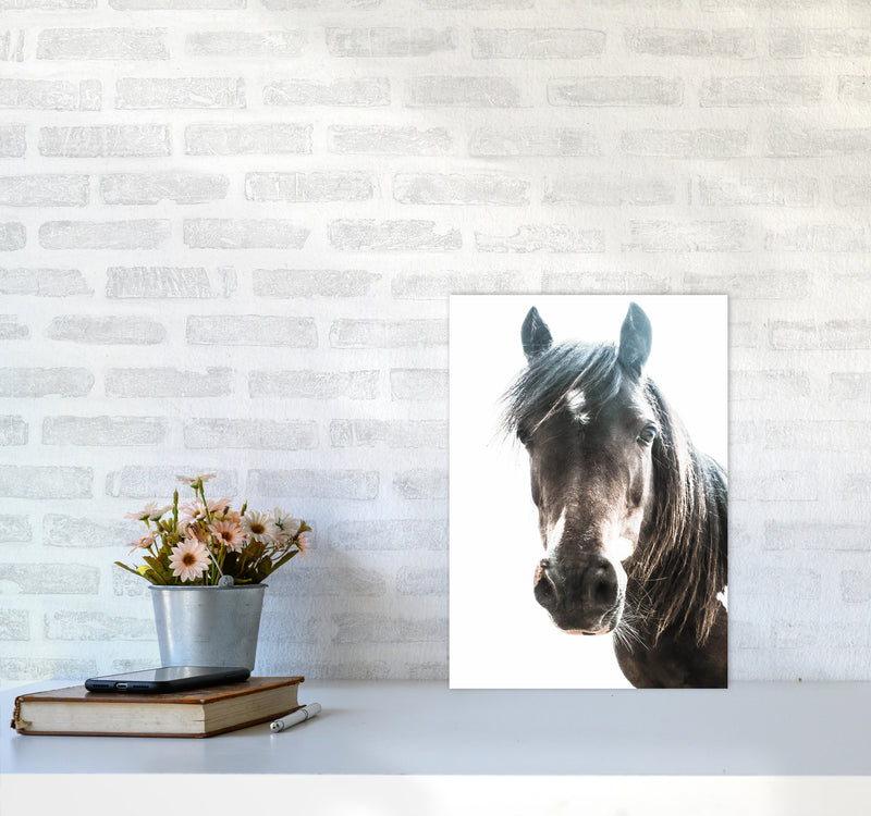 Brown Horse Photography Print by Victoria Frost A3 Black Frame