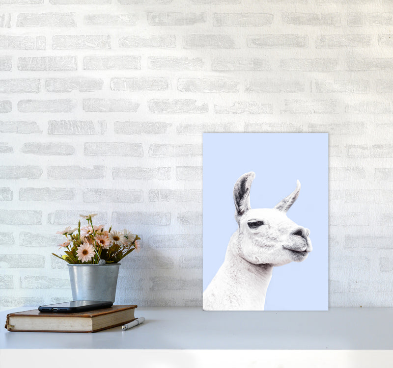 Blue Llama Photography Print by Victoria Frost A3 Black Frame