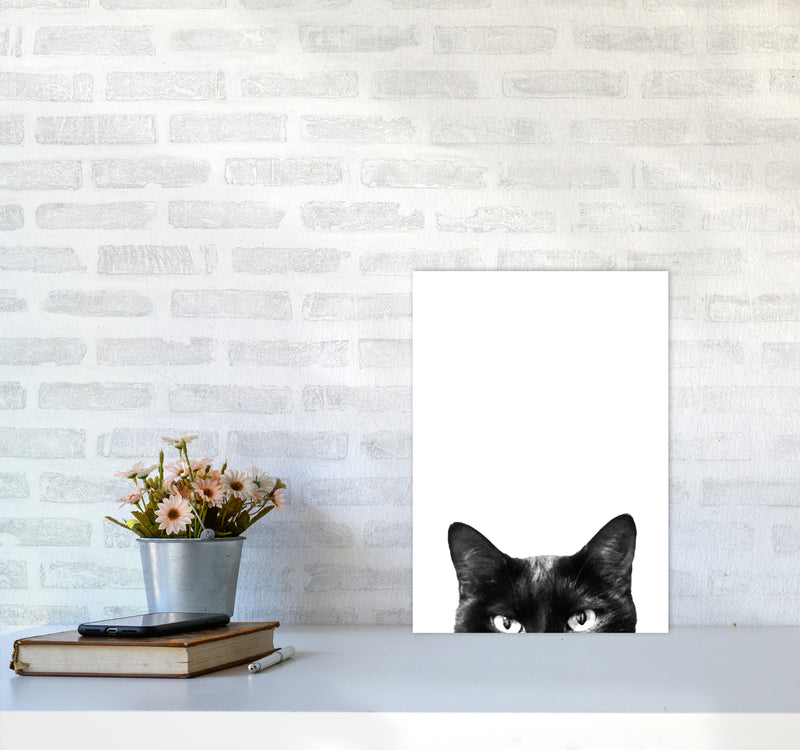 Black Cat Photography Print by Victoria Frost A3 Black Frame