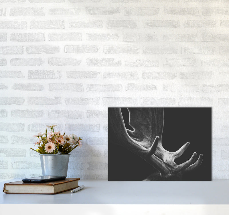 Antlers Photography Print by Victoria Frost A3 Black Frame