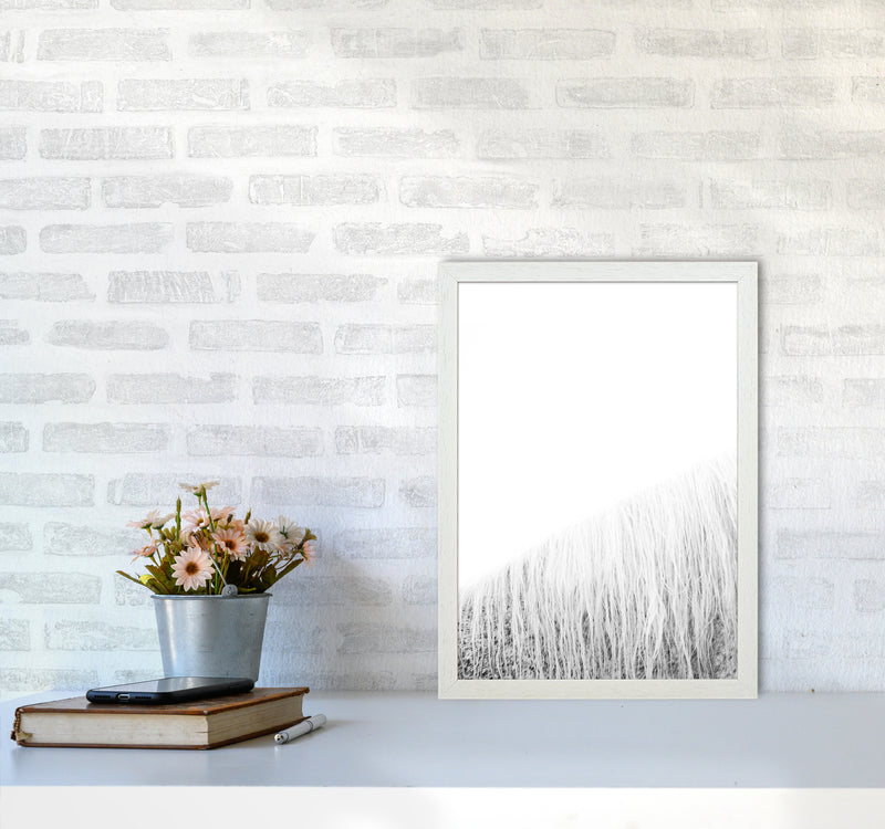 White Horse I Photography Print by Victoria Frost A3 Oak Frame