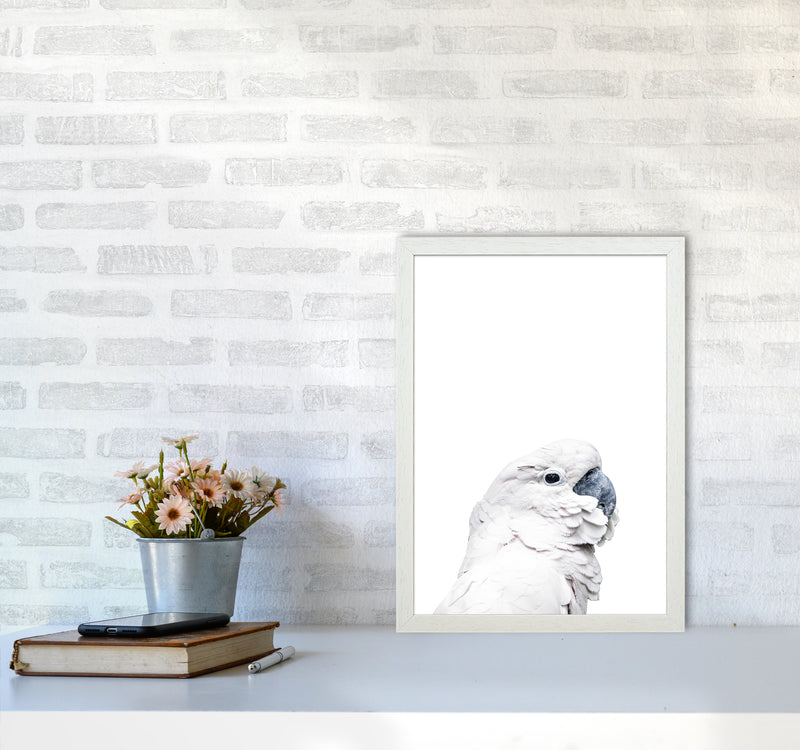 White Cockatoo Photography Print by Victoria Frost A3 Oak Frame
