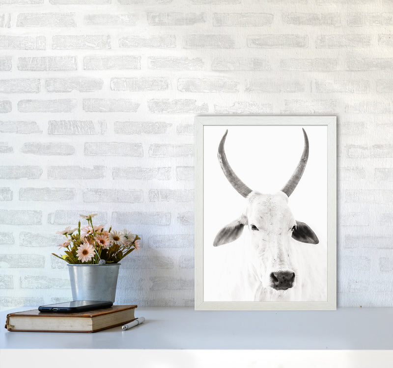 White Cow I Photography Print by Victoria Frost A3 Oak Frame