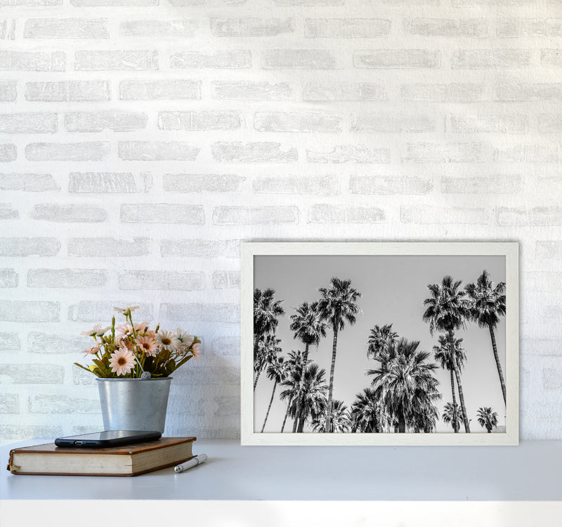 Sabal palmetto I Palm Trees Photography Print by Victoria Frost A3 Oak Frame