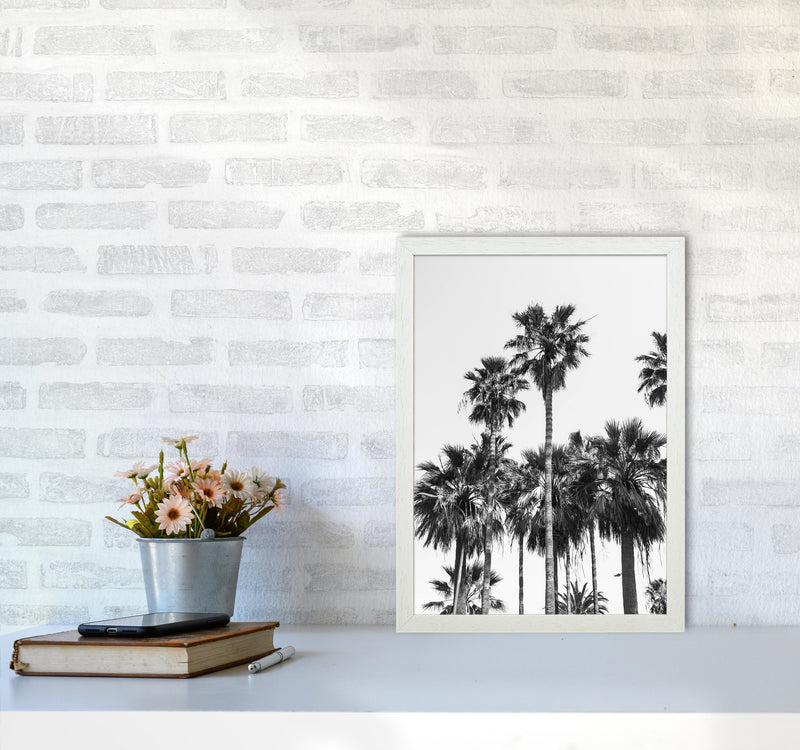 Sabal palmetto II Palm trees Photography Print by Victoria Frost A3 Oak Frame