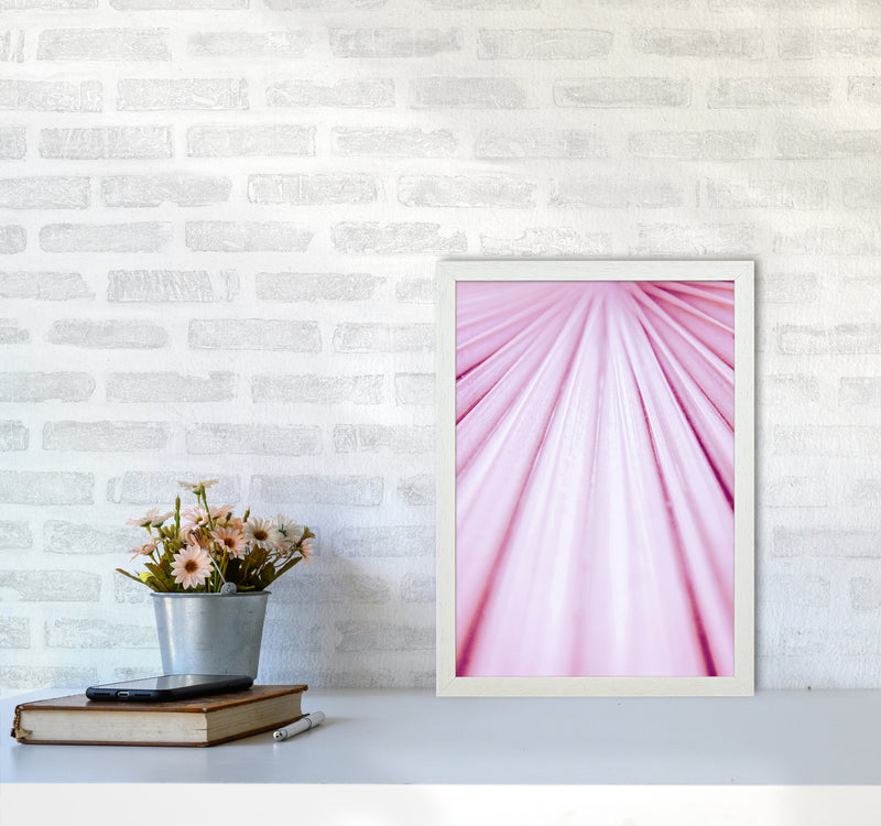 Pink Palm Leaf Photography Print by Victoria Frost A3 Oak Frame