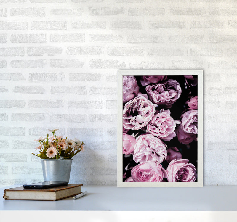 Pink Flowers II Photography Print by Victoria Frost A3 Oak Frame