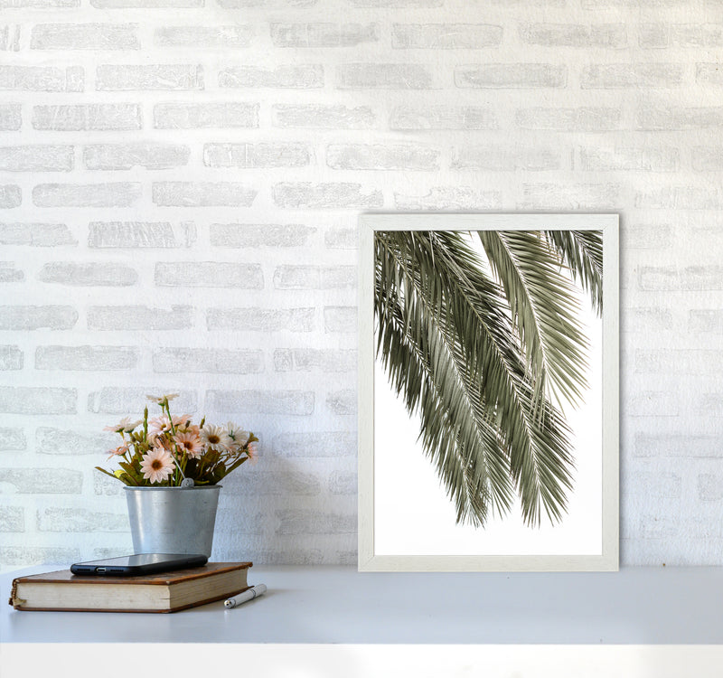 Palms Photography Print by Victoria Frost A3 Oak Frame