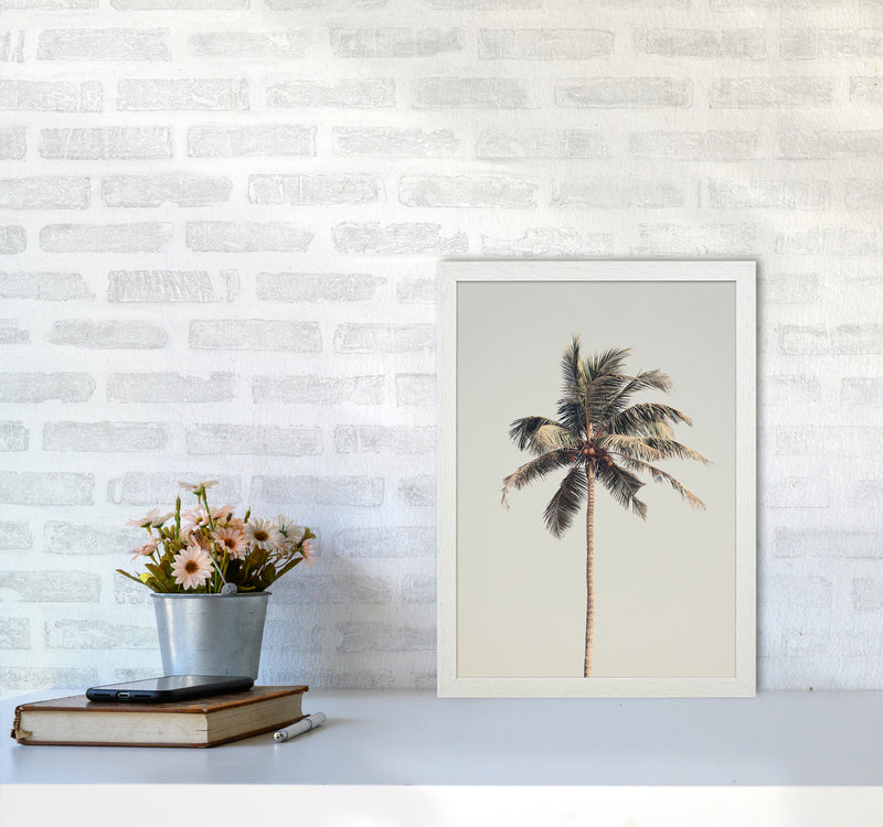 Palm tree by the beach Photography Print by Victoria Frost A3 Oak Frame