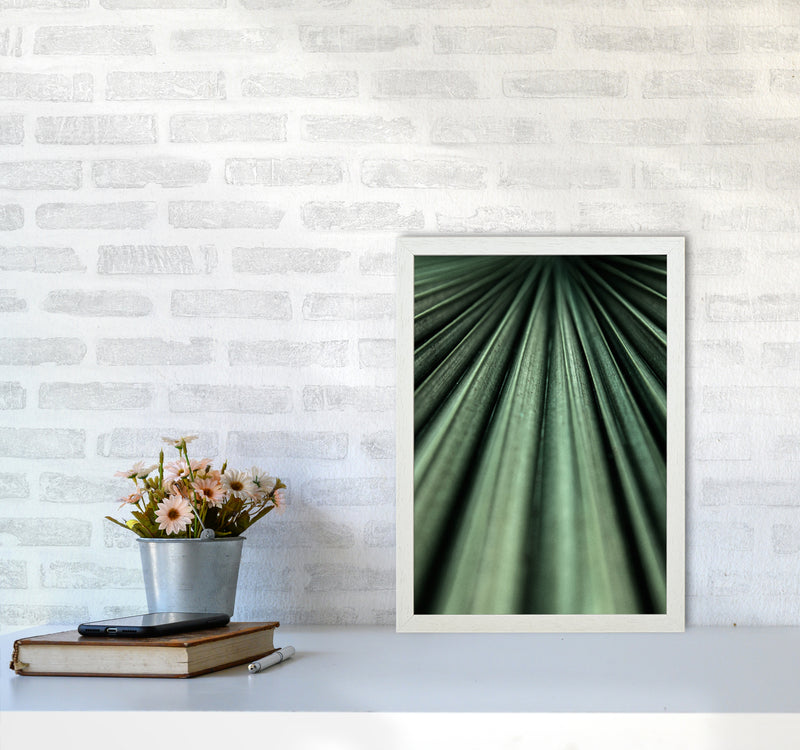 Green Palm Leaf Photography Print by Victoria Frost A3 Oak Frame