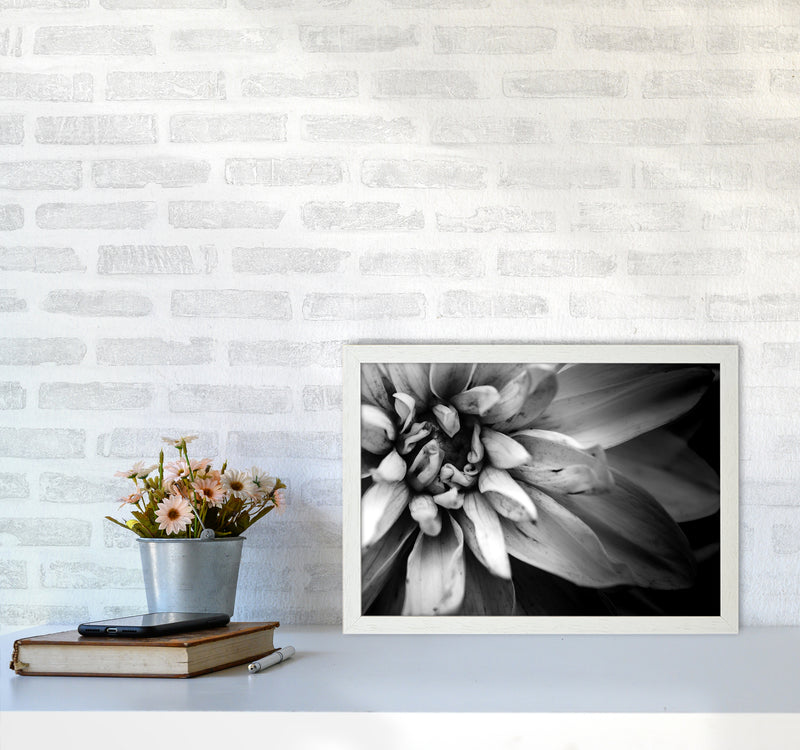 Flower Petals I  Photography Print by Victoria Frost A3 Oak Frame