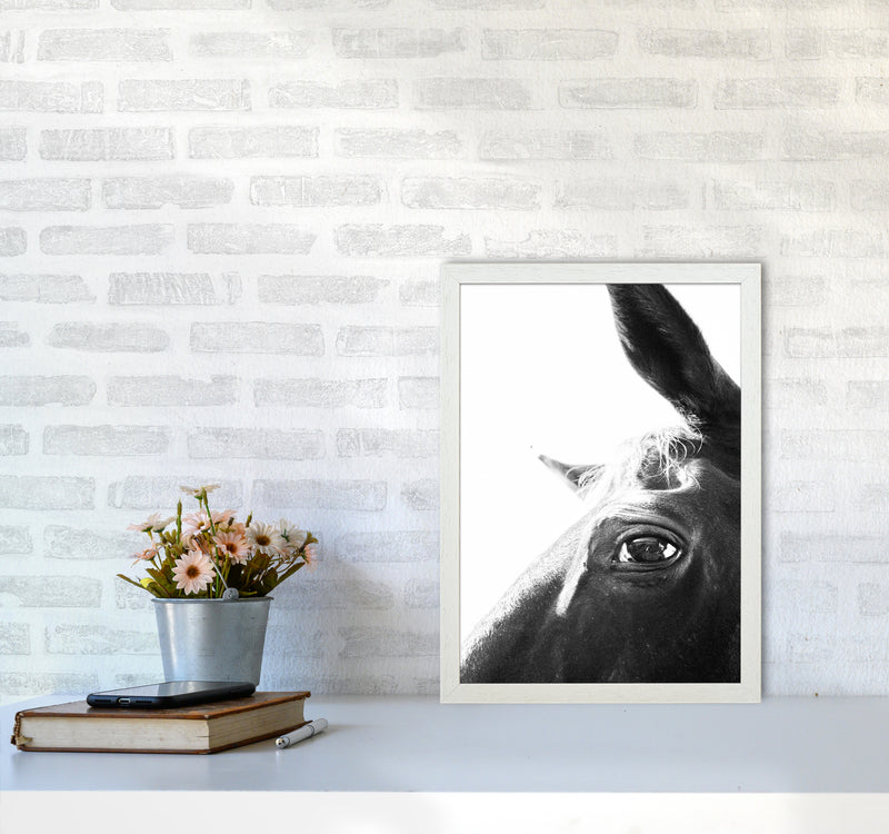 Eye of the beholder Photography Print by Victoria Frost A3 Oak Frame