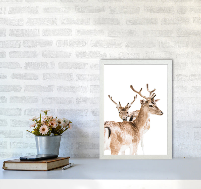 Deers II Photography Print by Victoria Frost A3 Oak Frame