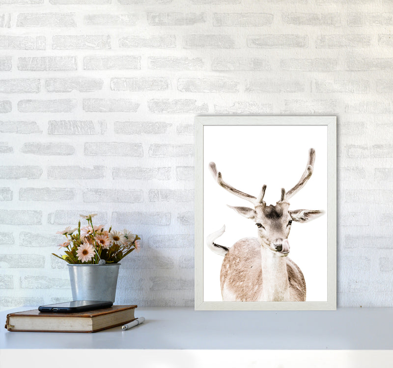 Deer I Photography Print by Victoria Frost A3 Oak Frame