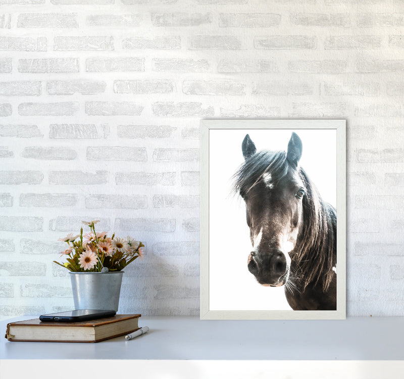 Brown Horse Photography Print by Victoria Frost A3 Oak Frame