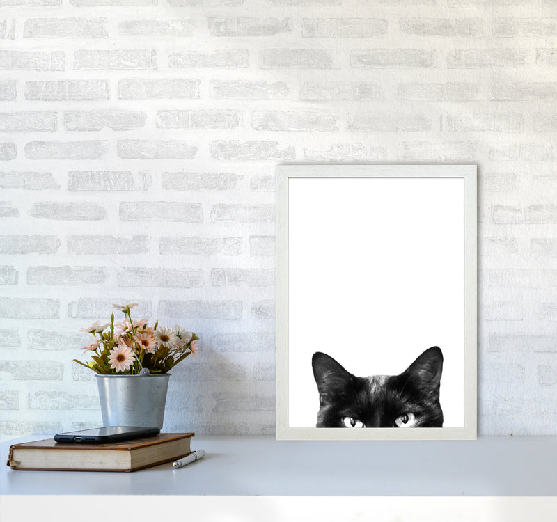 Black Cat Photography Print by Victoria Frost A3 Oak Frame