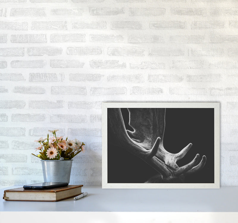 Antlers Photography Print by Victoria Frost A3 Oak Frame