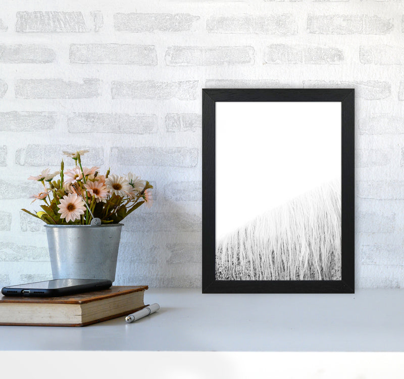 White Horse I Photography Print by Victoria Frost A4 White Frame