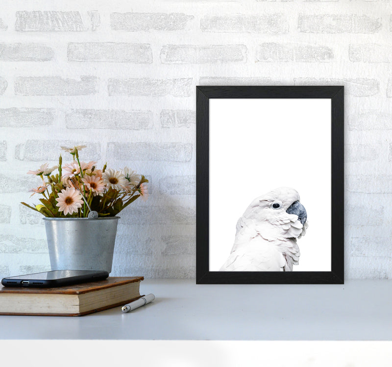 White Cockatoo Photography Print by Victoria Frost A4 White Frame