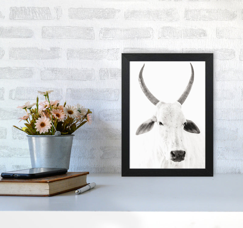 White Cow I Photography Print by Victoria Frost A4 White Frame