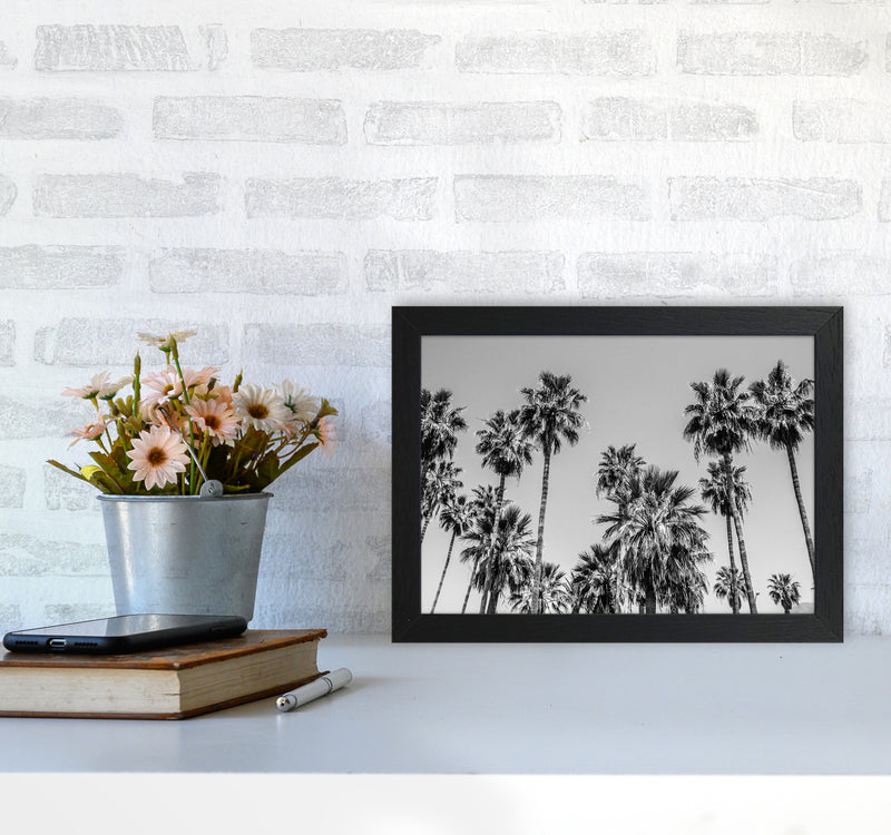 Sabal palmetto I Palm Trees Photography Print by Victoria Frost A4 White Frame