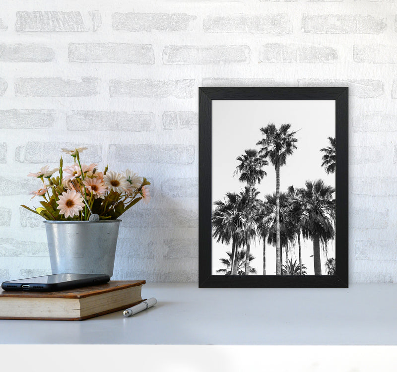 Sabal palmetto II Palm trees Photography Print by Victoria Frost A4 White Frame