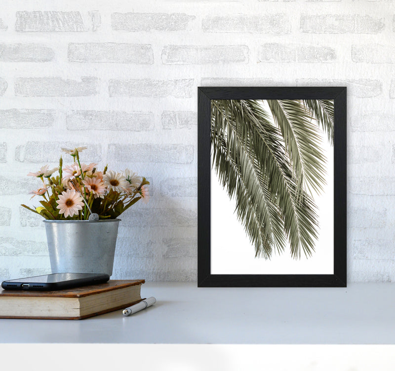 Palms Photography Print by Victoria Frost A4 White Frame