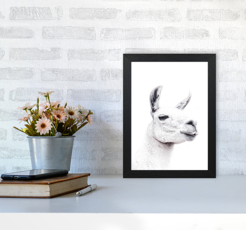 Llama I Photography Print by Victoria Frost A4 White Frame
