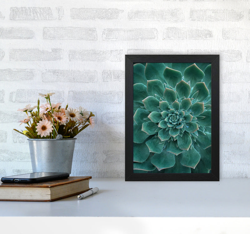Green Succulent Plant Photography Print by Victoria Frost A4 White Frame