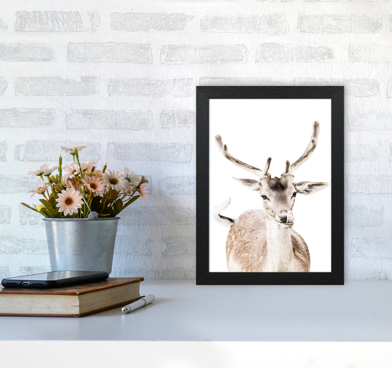 Deer I Photography Print by Victoria Frost A4 White Frame