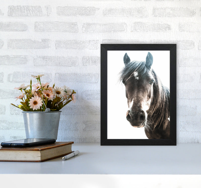 Brown Horse Photography Print by Victoria Frost A4 White Frame