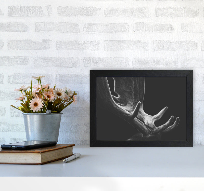 Antlers Photography Print by Victoria Frost A4 White Frame