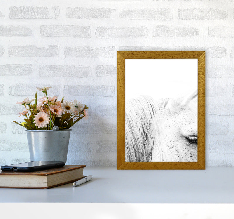 White Horse II Photography Print by Victoria Frost A4 Print Only