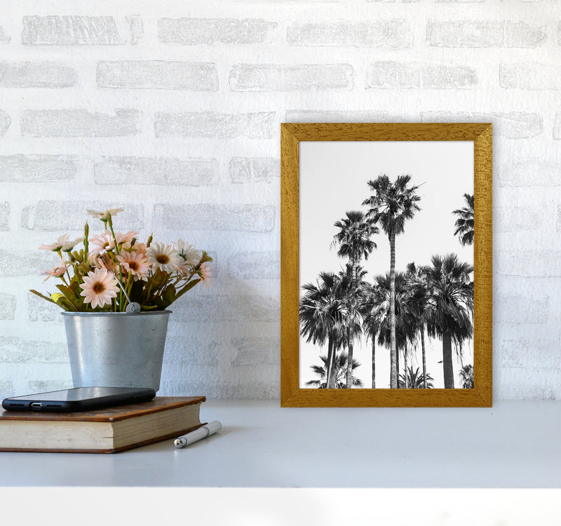 Sabal palmetto II Palm trees Photography Print by Victoria Frost A4 Print Only