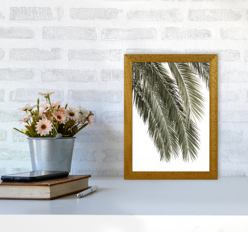 Palms Photography Print by Victoria Frost A4 Print Only
