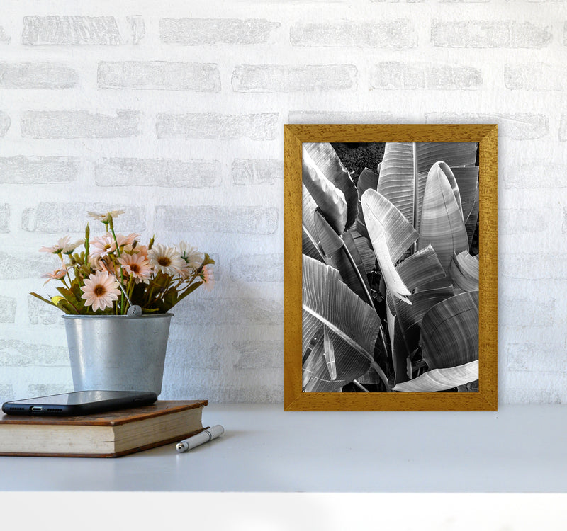 Palms Leafs Photography Print by Victoria Frost A4 Print Only