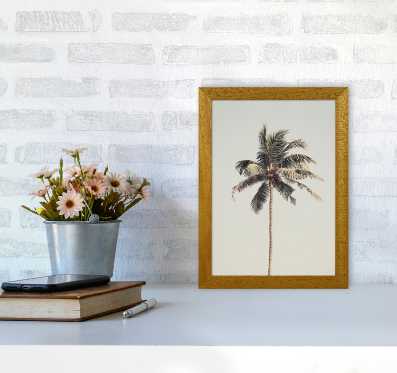 Palm tree by the beach Photography Print by Victoria Frost A4 Print Only