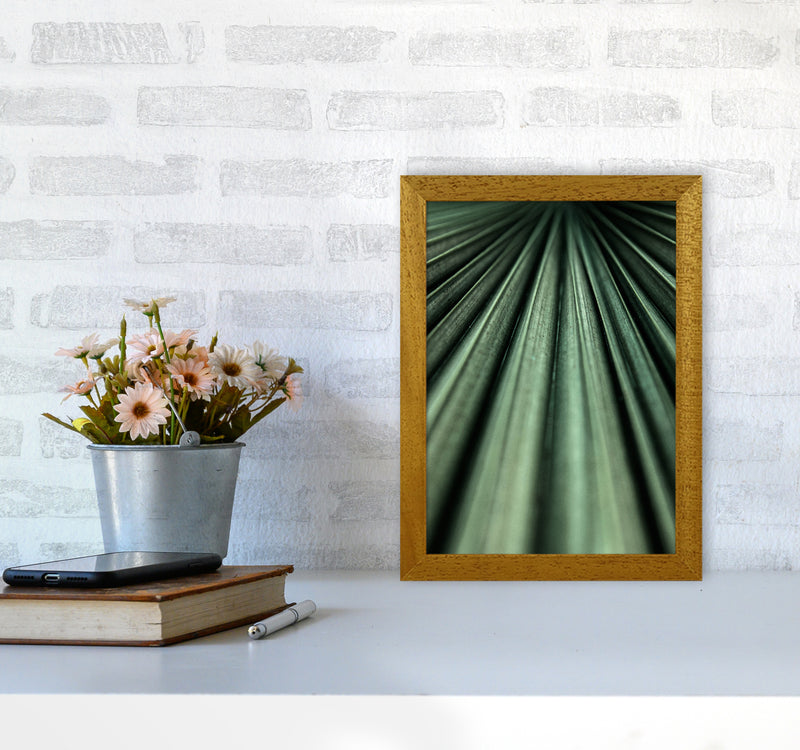 Green Palm Leaf Photography Print by Victoria Frost A4 Print Only