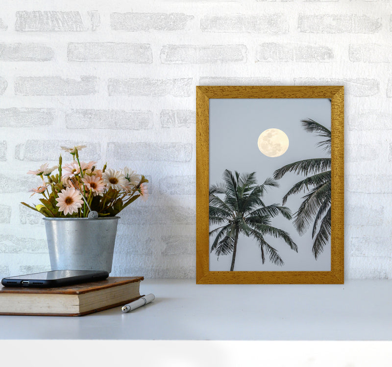 Full Moon Photography Print by Victoria Frost A4 Print Only