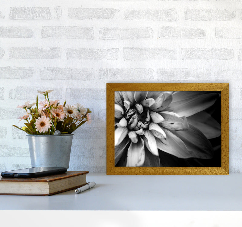 Flower Petals I  Photography Print by Victoria Frost A4 Print Only